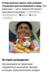 Намешалось