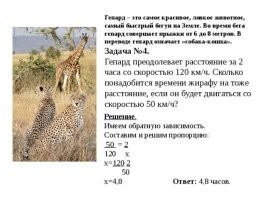 Гепард развивает эту скорость за 3 секунды, но может бежать так только 40–60 секунд   на короткие дистанции до 400 метров. Для более длительных нагрузок организм животного не приспособлен.