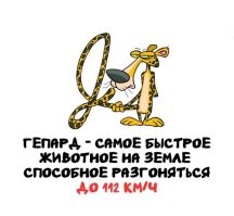 Что за бред? Гепард даже не самое быстрое млекопитающее (быстрее него летучая мышь Бразильский складчатогуб (лат. Tadarida brasiliensis) оторый разгоняется более 160 км/ч ), а уж про птиц и рыб вообще помолчим. Пока гепард самое быстрое НАЗЕМНОЕ млекопитающее