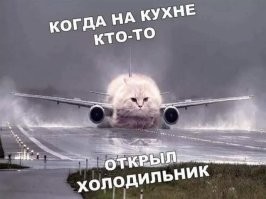 Скрины из соцсетей&nbsp;&nbsp;&nbsp;&nbsp;&nbsp;&nbsp;&nbsp;&nbsp;&nbsp;&nbsp;&nbsp;&nbsp;