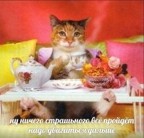 Скрины из соцсетей&nbsp;&nbsp;&nbsp;&nbsp;&nbsp;&nbsp;&nbsp;&nbsp;&nbsp;&nbsp;&nbsp;&nbsp;