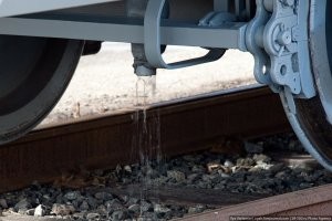 Глупое развлечение жителей Индии