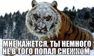 Намешалось