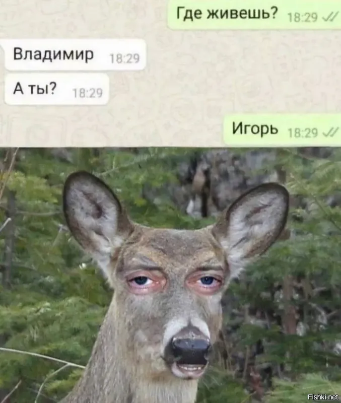 Морковка есть