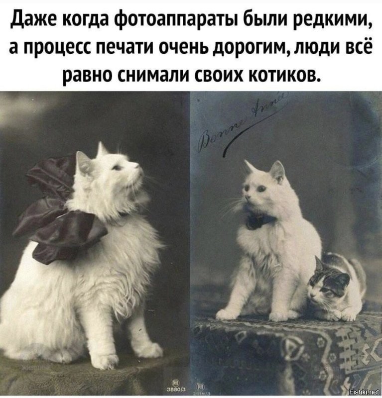 Солянка от 12.07.2025