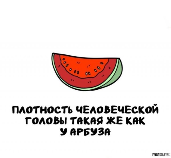 Скуяли? Попррбуйте проткнуть арбуз и голову и убедитесь, что это не так.