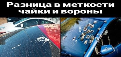 Шучу-шучу...