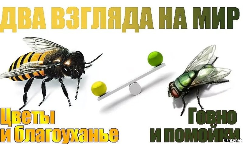 Женщина поделилась рецептом фирменных котлеток и открыла портал в ад в комментариях