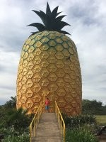 В Канаде есть big apple - Canada Toronto