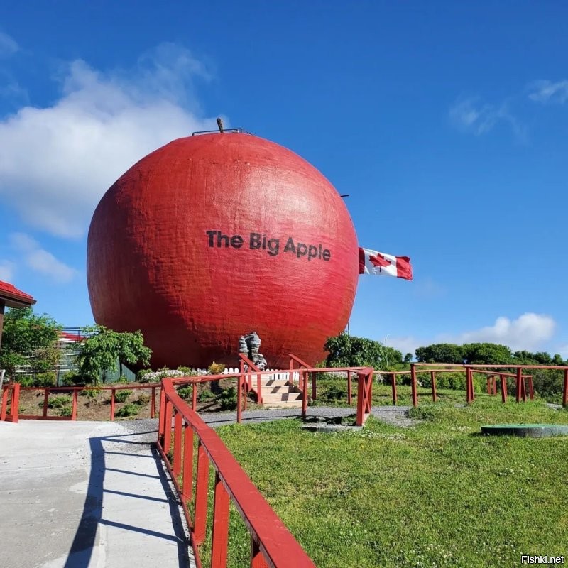 В Канаде есть big apple - Canada Toronto