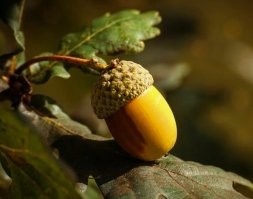 Немец рассказал американцу, почему в Германии продаются только литровые упаковки молока