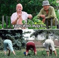 Большая тарелка улыбатора