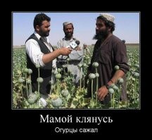 Большая тарелка улыбатора