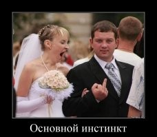 Большая тарелка улыбатора