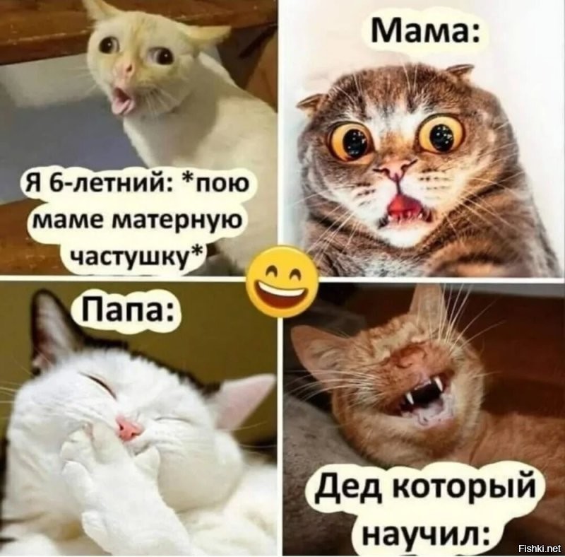 Большая тарелка улыбатора