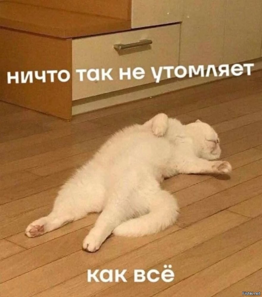 Солянка от 13.07.2025