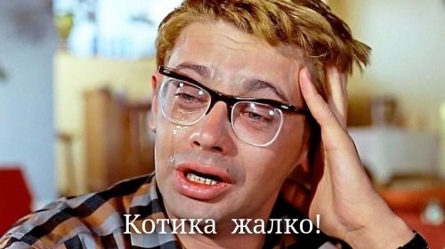 Женщина встретила пуму на тропе