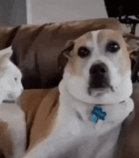 Я думал он до кучи и оператору в кабину накидает ))