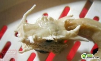 Готовим чебурекозавров