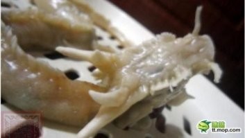 Готовим чебурекозавров