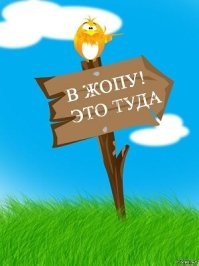 Суд отказался вернуть жилищный сертификат на 24 миллиона рублей многодетной уроженке Таджикистана