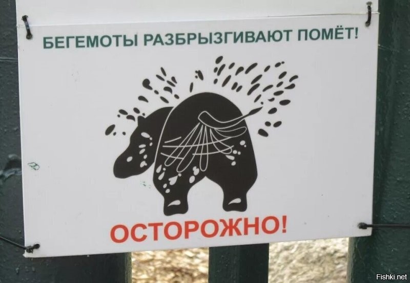 Так чисто для продолжения картинка, и так есть на самом деле.Но бегемот очень опасен, особенно самцы.Их бояться порой даже  крокодилы и другие хищники высшей пищевой цепочки.Хотя всем кажется, что бегемотик милый такой и ути пуси..Нет это не так.Ну в мультиках и сказках они добрые....Поэтому и доброты стёбной приложу...