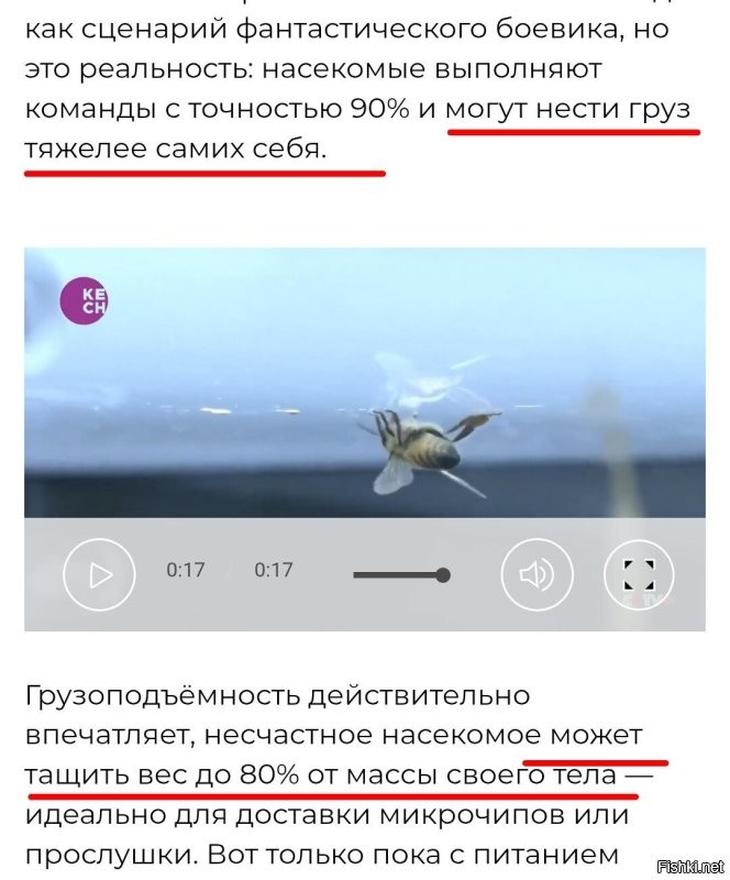 Вы уж там определитесь.
