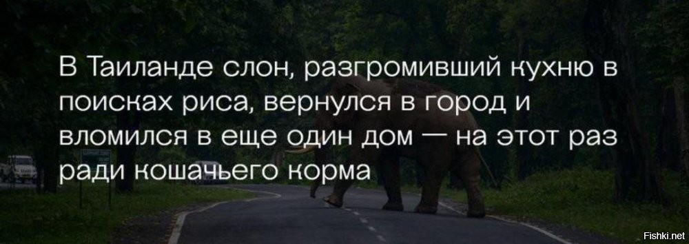 Солянка от 13.07.2025