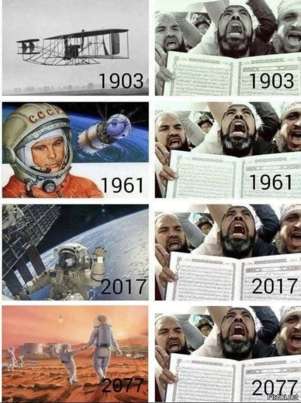 Накуй чурке развиваться, если можно тупо изучать коран и требовать к себе особого отношения? Животные, пля...