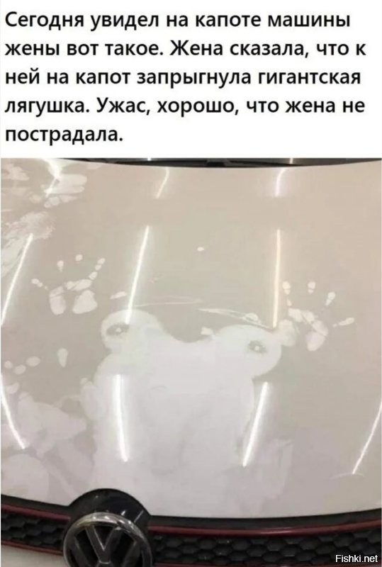 Большая тарелка улыбатора