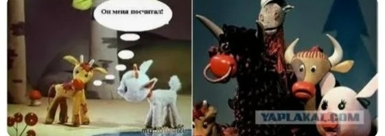 А вдруг ты не знал…