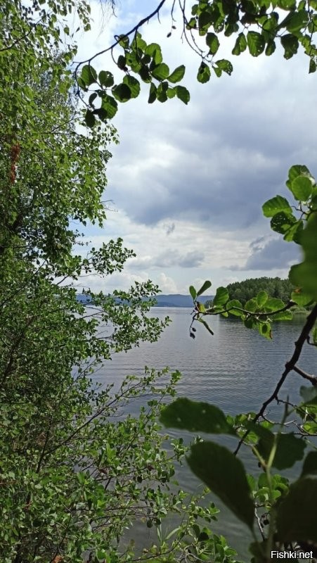У нас сейчас одноклассники на Тургояке, шлют как раз такие фото. Спрашиваем: а комары-то не заели? Отвечают- их там нет. Я, наверно, больше хочу на Тургояк, чем на Мальдивы.