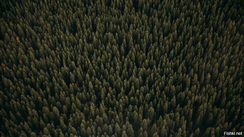 Не ищите здесь смысл. Здесь в основном маразм