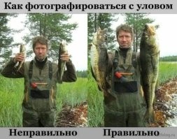 Намешалось