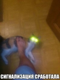 Скрины из соцсетей