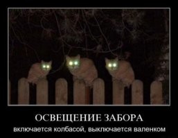 Скрины из соцсетей