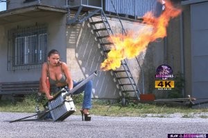 Бычий слепень: доводит коров до психоза