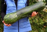 Так! А, вторую часть я что ли должен за Вас публиковать?