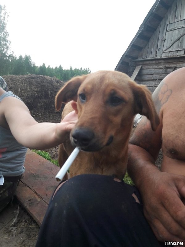 Не ищите здесь смысл. Здесь в основном маразм