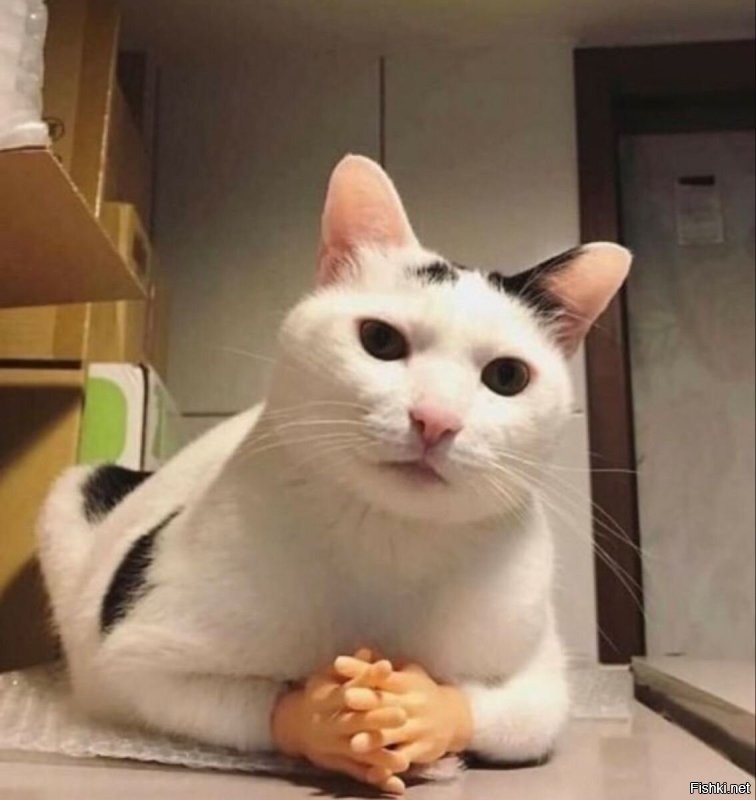 можно и так