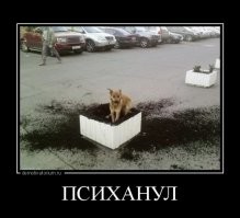 У командира разбившегося в Индии самолёта могли быть проблемы с психикой