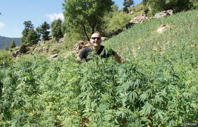 Казахский начальник полиции расстреливал коллег из рогатки