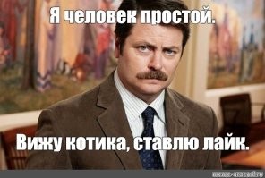 Котики тоже пашут: 20 усатых трудяг, застигнутых в разгар рабочего дня