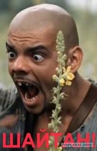 Смешные картинки