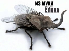 Блогер он и в американии ...блогер.