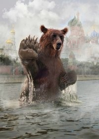 В США сняли медведя, который сначала звонит в дверь, а затем идёт в джакузи