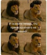 Скрины из соцсетей