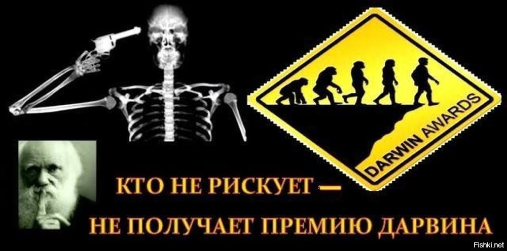 Премия Дарвина