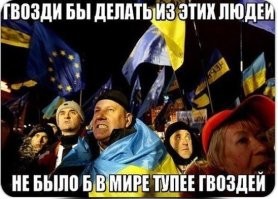 О политике и не только