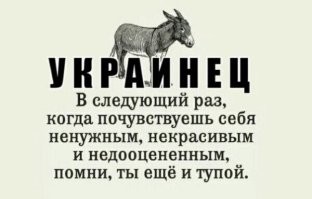 О политике и не только